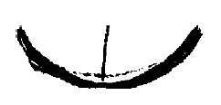 Disegno