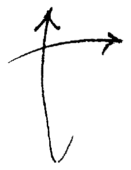 Disegno